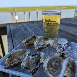 Beer and 1/2 dozen oysters