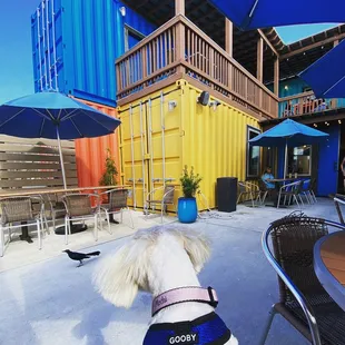 Nice patio that is pet friendly!!