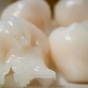Shrimp dumpling (close-up)