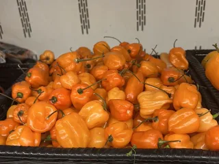 El Milagro Mexican Store