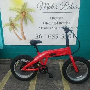 New Electric Fat Tire Bike thumb throttle or pedal assist