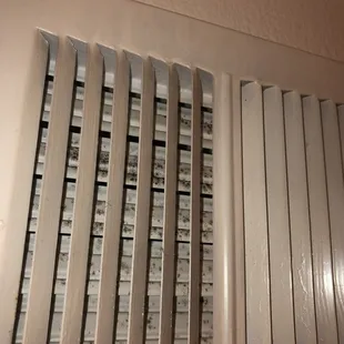 Mold in air ducts