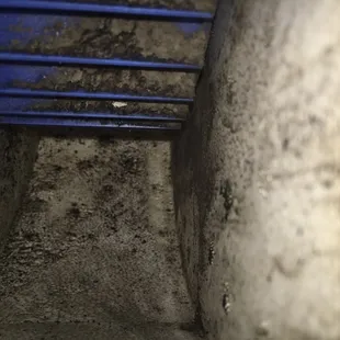 But the mold in them is not ok. It's like fur.