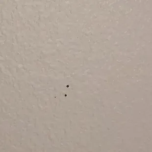 Mold on walls