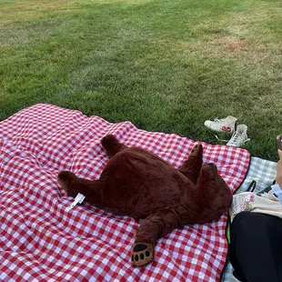 picnic basking