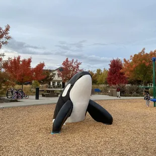 beautiful huggable orca statue!