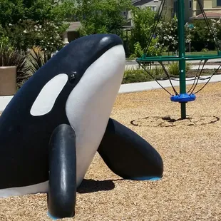 Killer Whale
