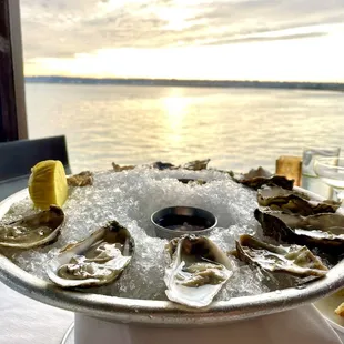 Oysters On The Half Shell