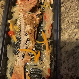 a fish in a plastic container