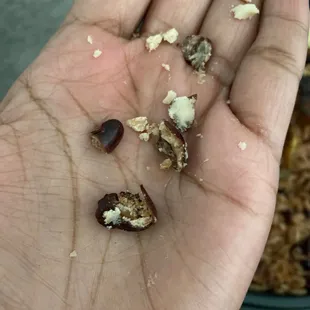 The inside of the beans