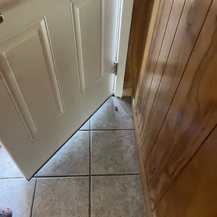 Cockroache dead and unable to help pay for the room