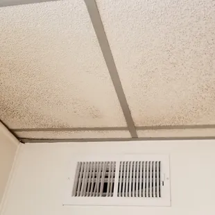 Moldy dirty Ceiling Tiles and vents