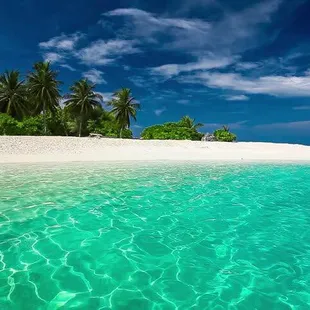 Island Life