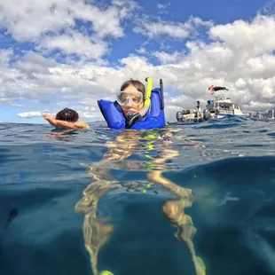Island Splash Tours