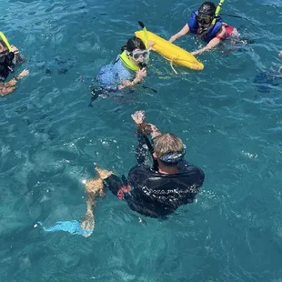 Turtle Canyon Snorkel Tour
Boat Tour