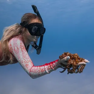 One of our snorkel guides showing our customers their octopus friend