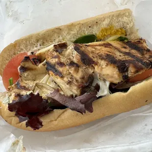 Grilled Chicken Sub