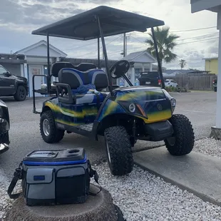 Our cute little buggy rental