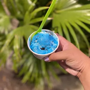 Lil Blue Panda (small)