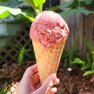 a hand holding an ice cream cone