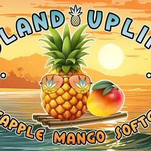 Try our newest product