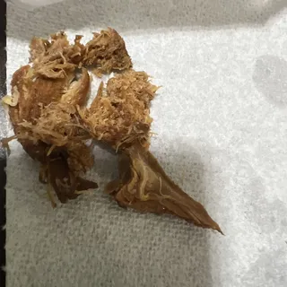 Large Brown Stew Chicken