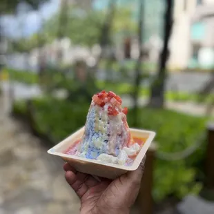 Hawaiian Rainbow