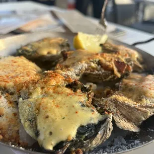 food, mussels, oysters and mussels, shellfish, oysters