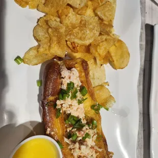 Supposed to be a lobster roll????