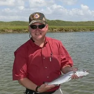 Mike M.