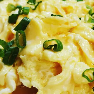 a closeup of a pasta dish