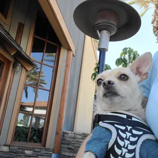 Waiting for his to go meal while enjoying the weather