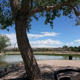 You could catch the rail runner with your fishing gear and walk over under a tree and toss in your line.