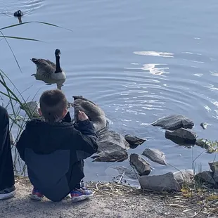 Lots of wildlife. My son loved feeding the geese
