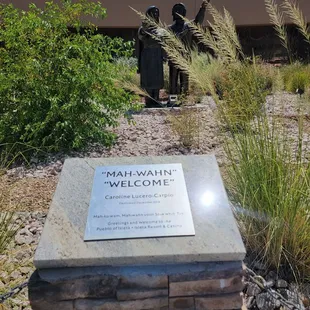 Welcome , and thank you for bringing us your money