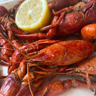 Isleton Cajun Festival
