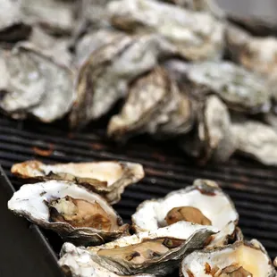 BBQ Oysters...