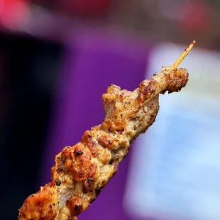 Alligator on a Stick (Cajun Queen) - ridiculously priced at $12 (but we ended up getting it)...