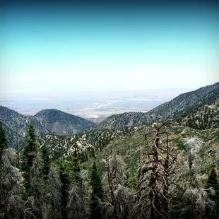 Another typical view from San Gabriel Mountains