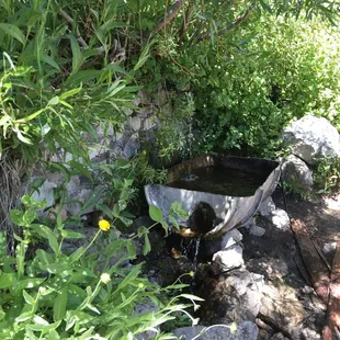 Little Jimmy Springs