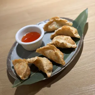 Gyoza (6)