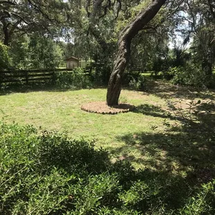 Another view of location 3