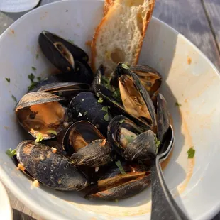 Mussels