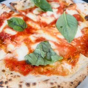 Margherita Pizza