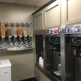 Yogurt offerings and toppings. They also have other flavors in the freezer.