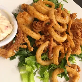 Tender Calamari