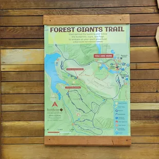 a map of the forest giants trail