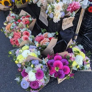 a variety of flowers