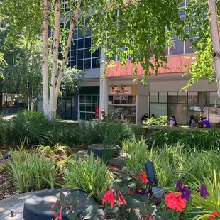 a view of the courtyard of a restaurant