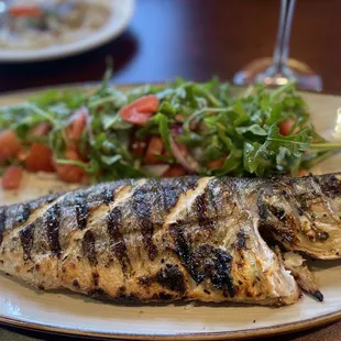 Istanbul Cuisine Southlake 